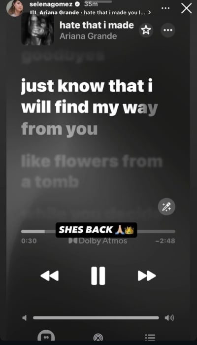 P.C. Selena Gomez/Instagram Stories