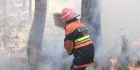مری اور کوٹلی ستیاں کے علاقوں میں آگ کے واقعات پر قابو پالیا گیا