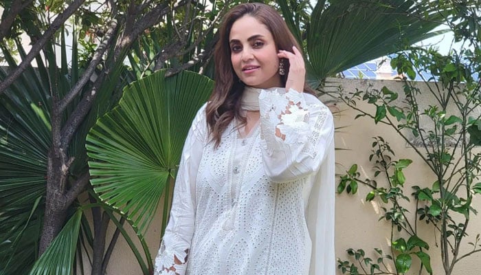 نادیہ خان---فائل فوٹو
