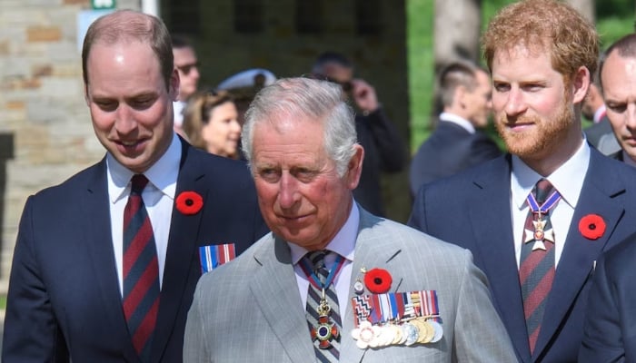 King Charles makes big move to mend Prince William, Prince Harrys rift