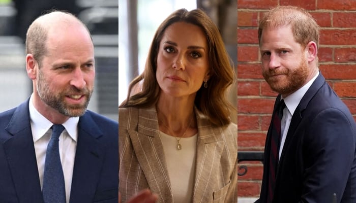 Kate Middleton distances herself as Prince William, Harry reunion talk grows