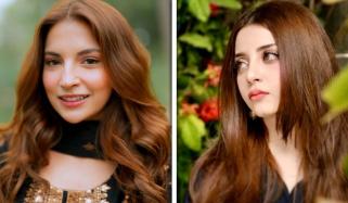 علیزے شاہ کی دنانیر مبین سے متعلق وضاحت یا تنقید؟