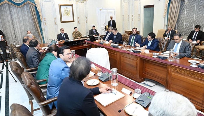 فوٹو: پی آئی ڈی