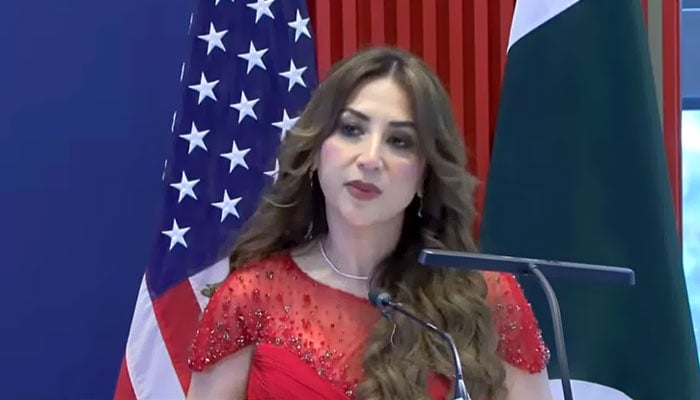 امریکی ڈپٹی ناظم الامور نیٹلی بیکر۔فوٹو: اسکرین گریب