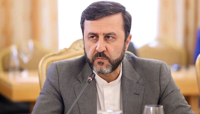 ایرانی نائب وزیر خارجہ کاظم غریب آبادی---فائل فوٹو