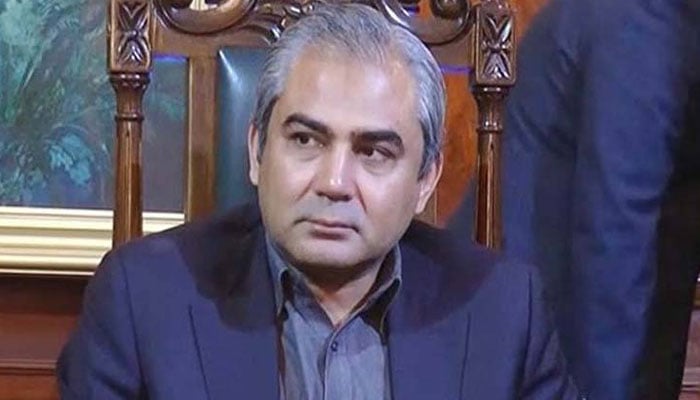 محسن نقوی - فوٹو: فائل