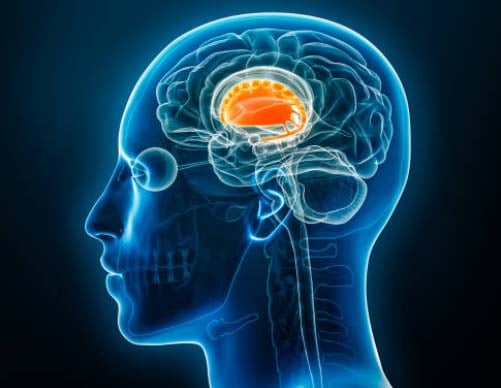 Parkinson’s disease risk: Study links pesticide exposure to significantly higher rates