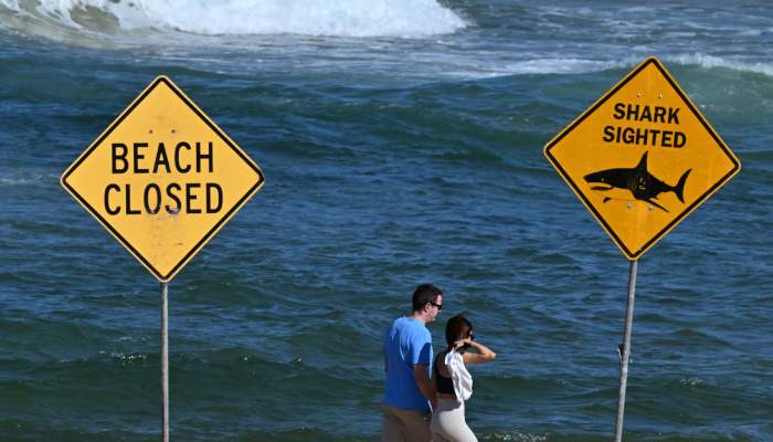 Western Australia shark attack kills diver near Michaelmas Island