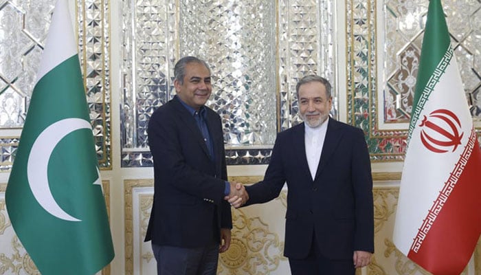 جنگ بندی کی کوششیں جاری، محسن نقوی کی عراقچی سے تہران میں ملاقات