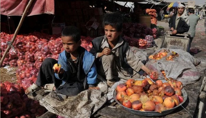 ---فوٹو بشکریہ بین الاقوامی میڈیا