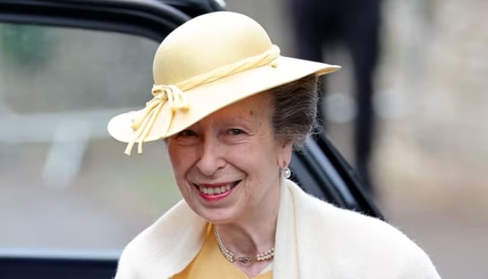 Princess Anne’s ex husband steps into spotlight with new girlfriend at royal wedding