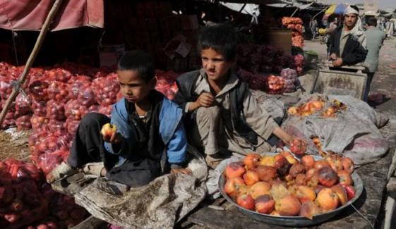 افغانستان میں فلاحی اداروں کی ناکامی، سڑتے سیبوں نے نظام کی کمزوریاں بے نقاب کردیں