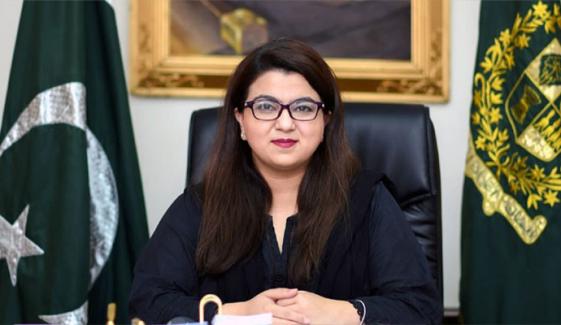 اے آئی اور گوگل نے پاکستان میں 10 ہزار سے زیادہ نوکریاں دی ہ