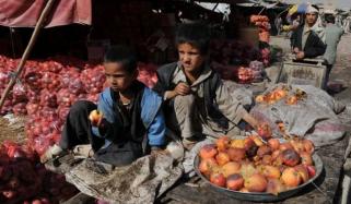 افغانستان میں فلاحی اداروں کی ناکامی، سڑتے سیبوں نے نظام کی کمزوریاں بے نقاب کردیں
