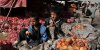 افغانستان میں فلاحی اداروں کی ناکامی، سڑتے سیبوں نے نظام کی کمزوریاں بے نقاب کردیں