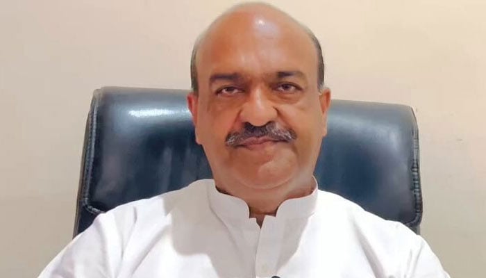 ندیم افضل چن - فوٹو: فائل