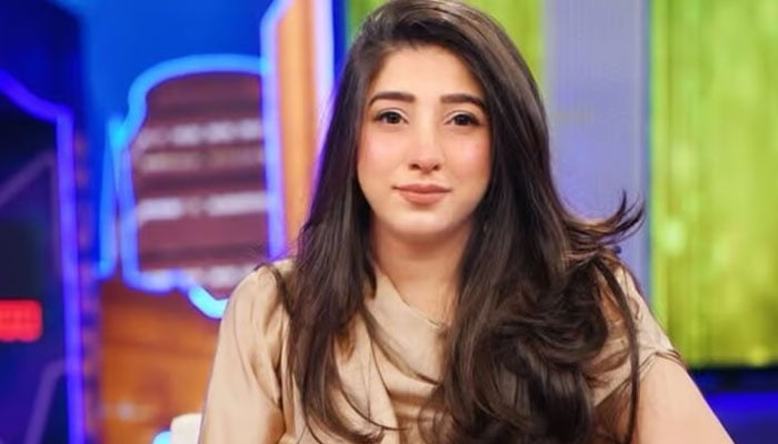 مریم نفیس---فائل فوٹو