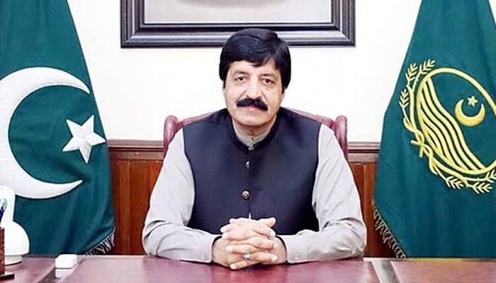 گورنر پنجاب سردار سلیم حیدر خان---فائل فوٹو