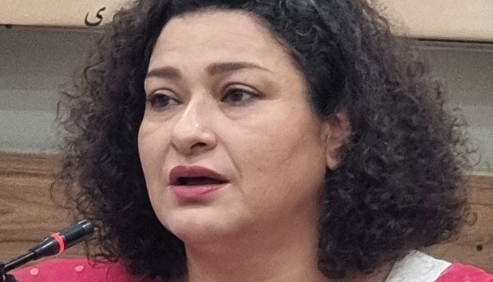 سوشل میڈیا پر لاکھوں فالوورز اچھے اداکار کا متبادل نہیں ہو سکتے، ثانیہ سعید