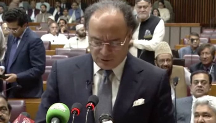 وزیر خزانہ پارلیمنٹ میں بجٹ پیش کرتے ہوئے(تصویر سوشل میڈیا)۔