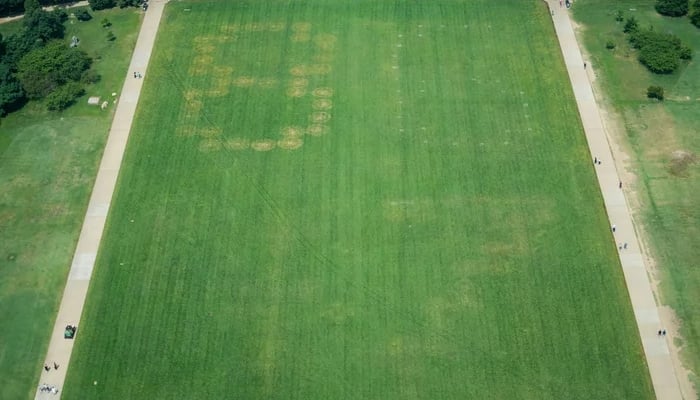 8647 markings on National Mall grass in US capital prompts investigation