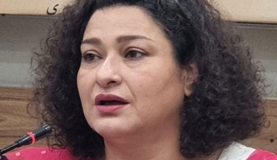 ’پروڈکشن کی وجہ سے مقروض ہوگئی ہوں‘