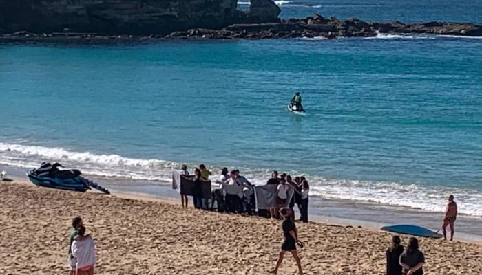 Shark attack horror: Woman left in critical condition at Sydneys Coogee beach