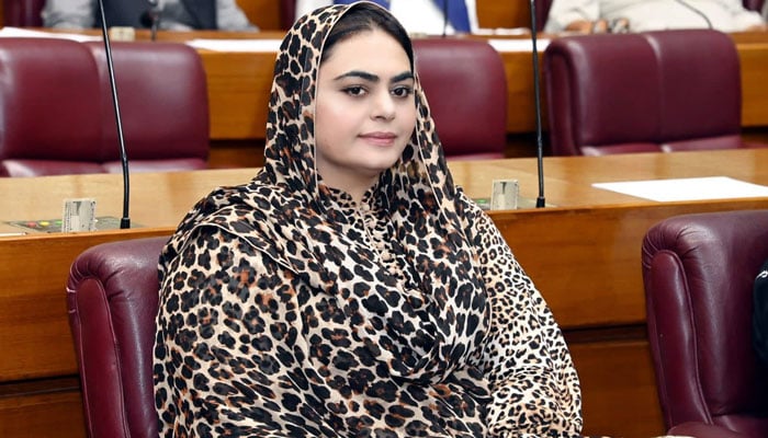 تصویر، فیس بک، شمائلہ رانا