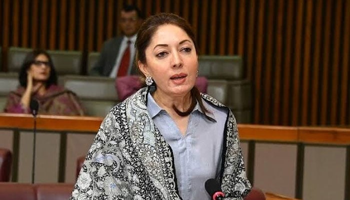 تصویر، سوشل میڈیا