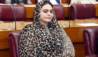 پاکستانی معیشت کا حجم 452 ارب ڈالر تک پہنچنا اہم پیشرفت ہے، شمائلہ رانا