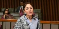 شرمیلا فاروقی کا 8000 روپے کی خط غربت کی تعریف کا طریقہ کار بدلنے کا مطالبہ 