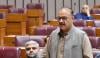 بانی ہوتے تو ایران پر حملے نہ ہوتے، عامر ڈوگر