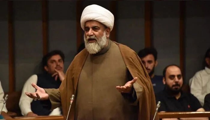 سینیٹ میں اپوزیشن لیڈر علامہ راجہ ناصر عباس—فائل فوٹو