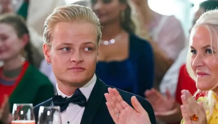 Norwegian Crown Princesss son admits guilt in shocking rape case