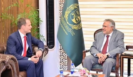 پاکستان کے سفارتی کردار کو برطانیہ کی ستائش، غیر قانونی امیگریشن کیخلاف تعاون مزید مضبوط بنانے پر اتفاق