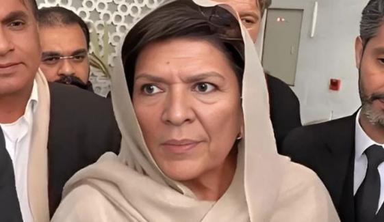 پارٹی لیڈرشپ نے محمود اچکزئی کو دھرنے کا وقت کم کرنے کا مشورہ دیا تھا، علیمہ خان