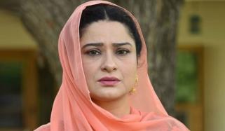 گرین بسیں نہیں، روزگار کراچی کا اصل مسئلہ ہے: ثانیہ سعید