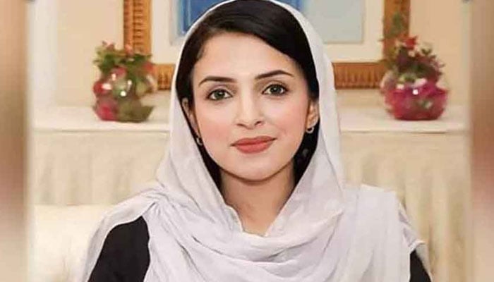 پارٹی کی قانونی ٹیم کے مطابق تین ماہ کے بجٹ میں کوئی قانونی سقم نہیں، مشال یوسفزئی - فوٹو: فائل