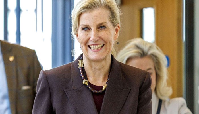Duchess Sophie celebrates personal milestone with moving message: most grateful