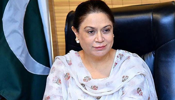 نیلوفر بختیار— فائل فوٹو
