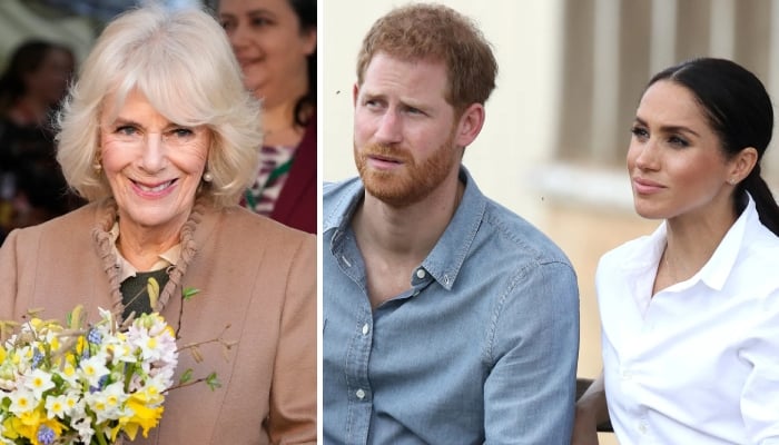 Queen Camilla issues surprise message ahead of Harry, Meghan UK return: ‘enjoy yourself’