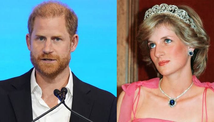 Prince Harry suffers humiliation as personal UK donation exposes Princess Diana link