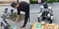 روبوٹس اب بھیک مانگنے لگے 