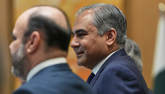 وزیرِ داخلہ محسن نقوی—فائل فوٹو
