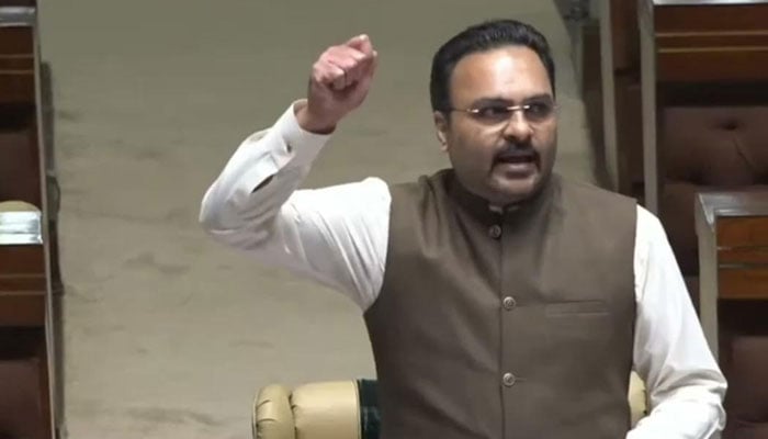فرحان انصاری کی پیپلز پارٹی پر تنقید، الزامات بھی لگائے، شرجیل میمن نے پین پھینکا