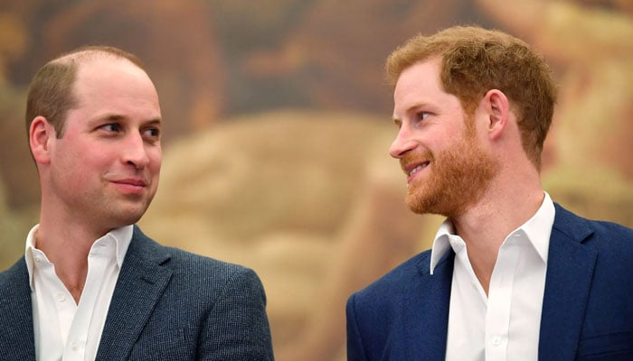 Prince Harry receives exciting reunion update from Prince William just days before UK return