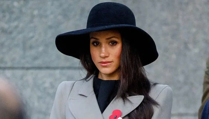 Meghan Markles new move frustrates Harry: Blurring the lines between philanthropy & personal profile