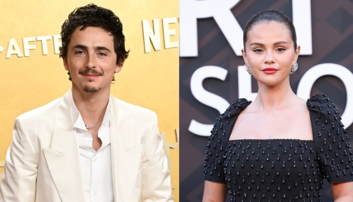 Timothée Chalamet, Selena Gomez set for major animated film — Here’s what we know
