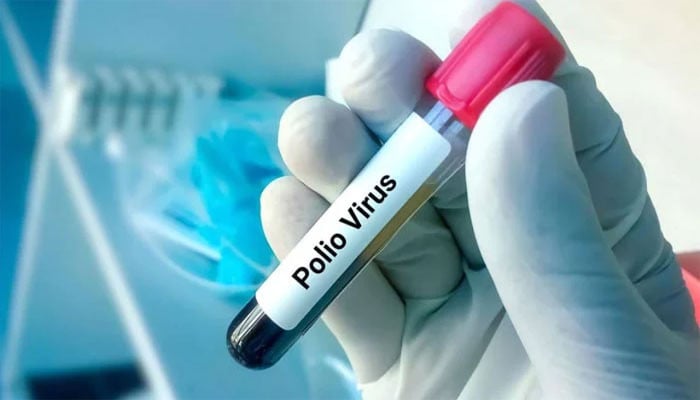 سندھ میں 29 نمونوں میں سے ایک پولیو وائرس کیلئے مثبت پایا گیا سندھ میں 29 نمونوں میں سے ایک پولیو وائرس کیلئے مثبت پایا گیا