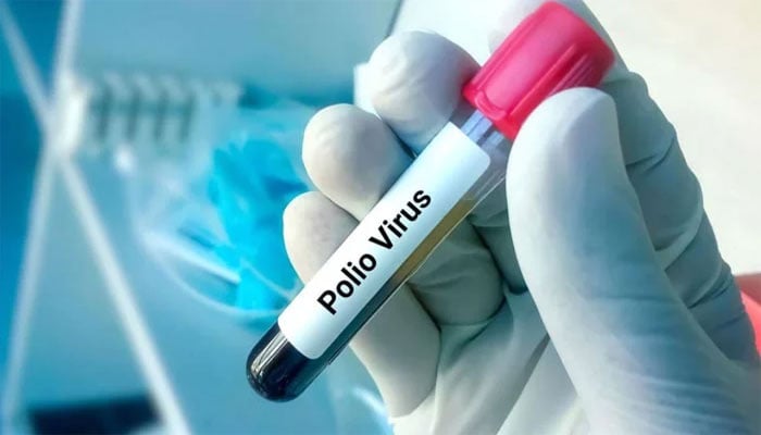 سندھ میں 29 نمونوں میں سے ایک پولیو وائرس کیلئے مثبت پایا گیا